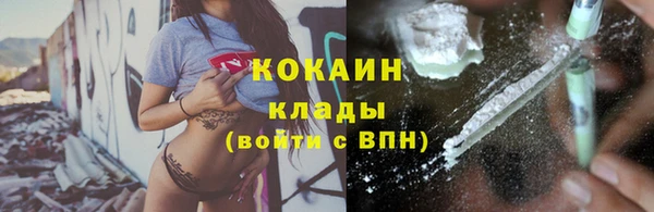 spice Алзамай