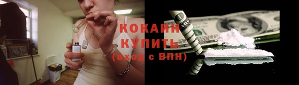 spice Алзамай