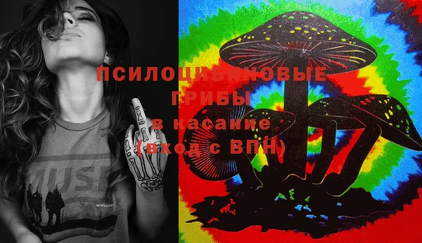 spice Алзамай